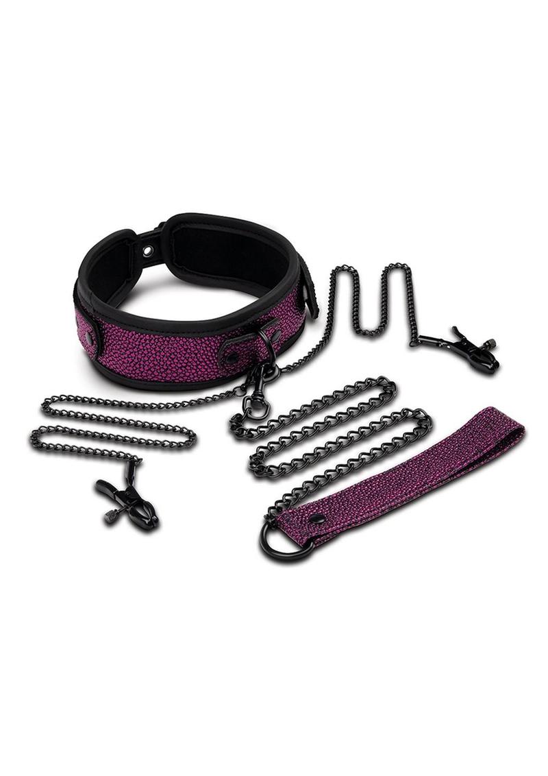 WhipSmart Dragon's Lair Collar, Leash and Nipple Clips