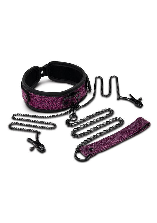 WhipSmart Dragon's Lair Collar, Leash and Nipple Clips