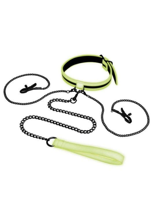 WhipSmart Glow In The Dark Collar with Nipple Clips and Leash